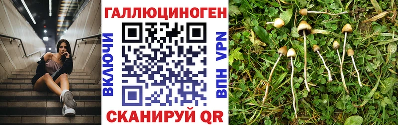 Псилоцибиновые грибы мицелий  купить  сайты  Невинномысск 